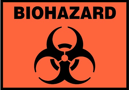 Biohazard 2 scaled.jpg
